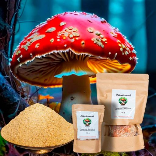 Fliegenpilz Microdosing, Amanita Muscaria, Räucherwerk, Getrockneter Fliegenpilz